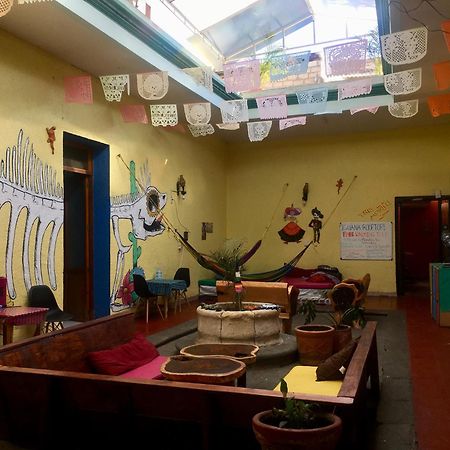 Iguana Hostel Oaxaca 外观 照片