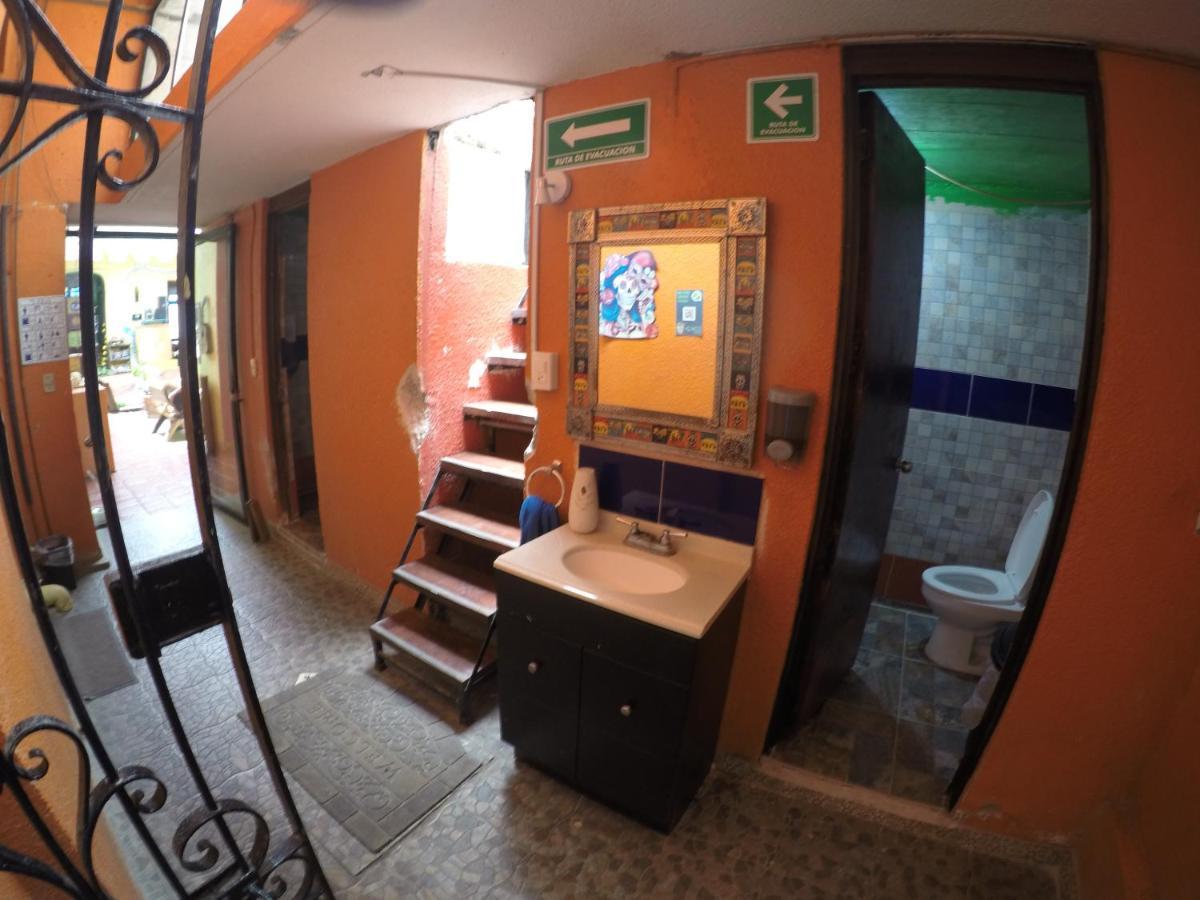 Iguana Hostel Oaxaca 外观 照片