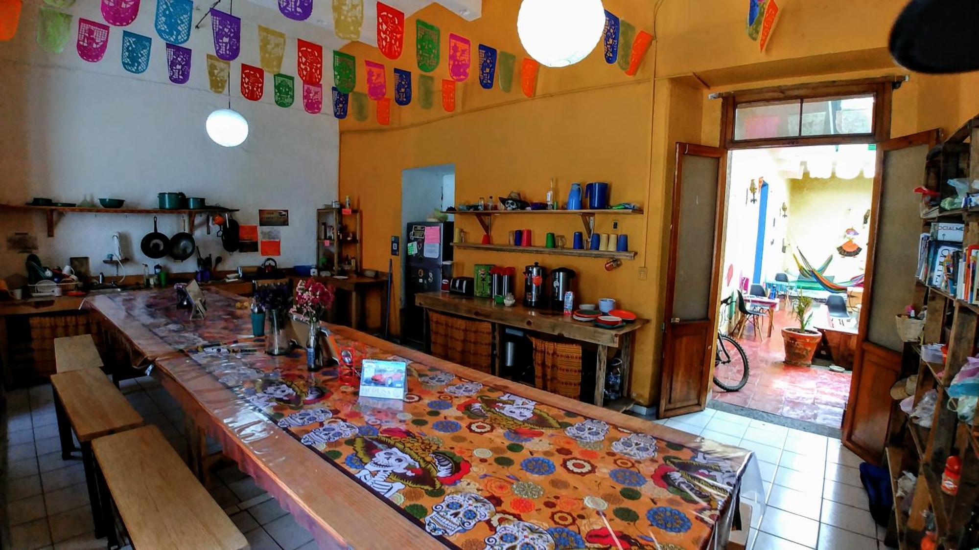 Iguana Hostel Oaxaca 外观 照片