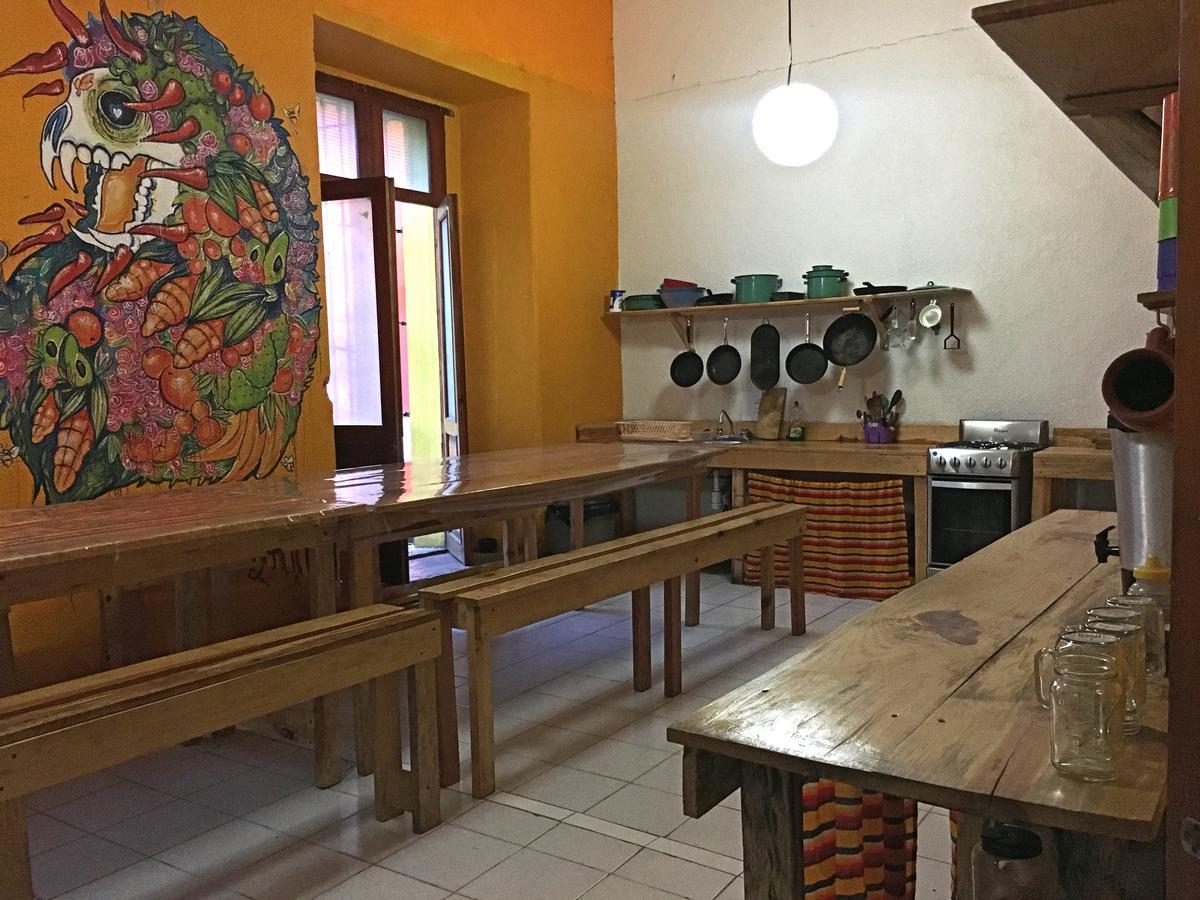 Iguana Hostel Oaxaca 外观 照片