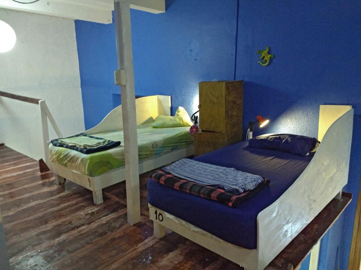 Iguana Hostel Oaxaca 外观 照片