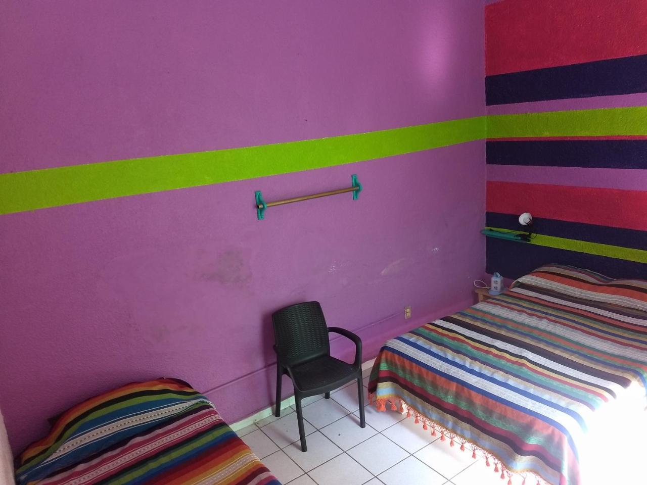 Iguana Hostel Oaxaca 外观 照片